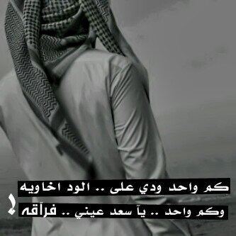أرعص فولو يابعدي