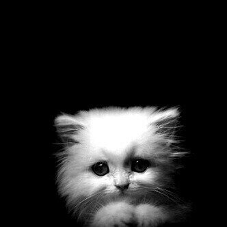 j4j5j6j7's profile picture. 