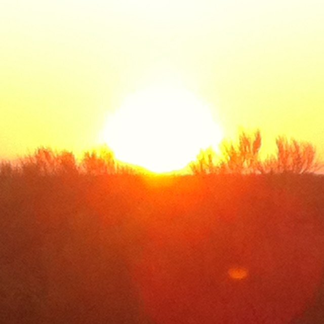 bailey_declan's profile picture. 