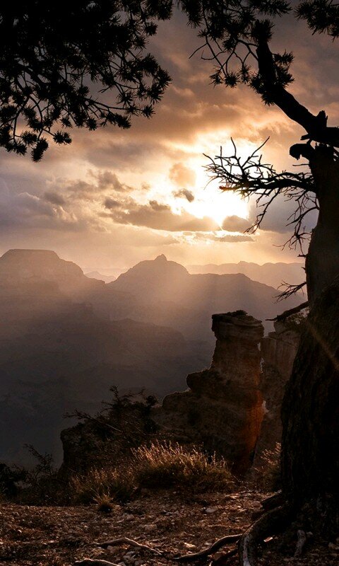 a man whithout dream, is a man whithout hope