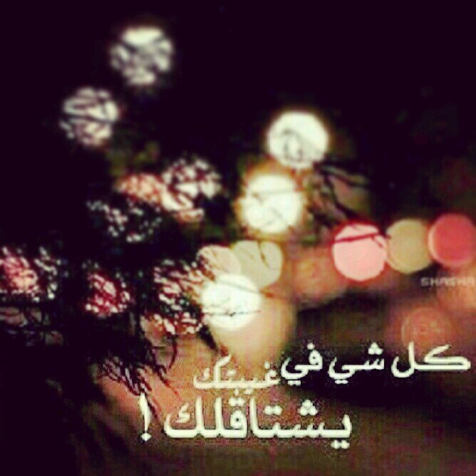 shj♥