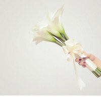 خطابة ام فيصل (@memaa_231) 's Twitter Profile