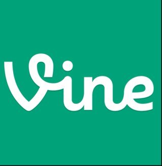 Te quieres echar unas risas con los Mejores Videos de Gatos de Vine? SIGUENOS!