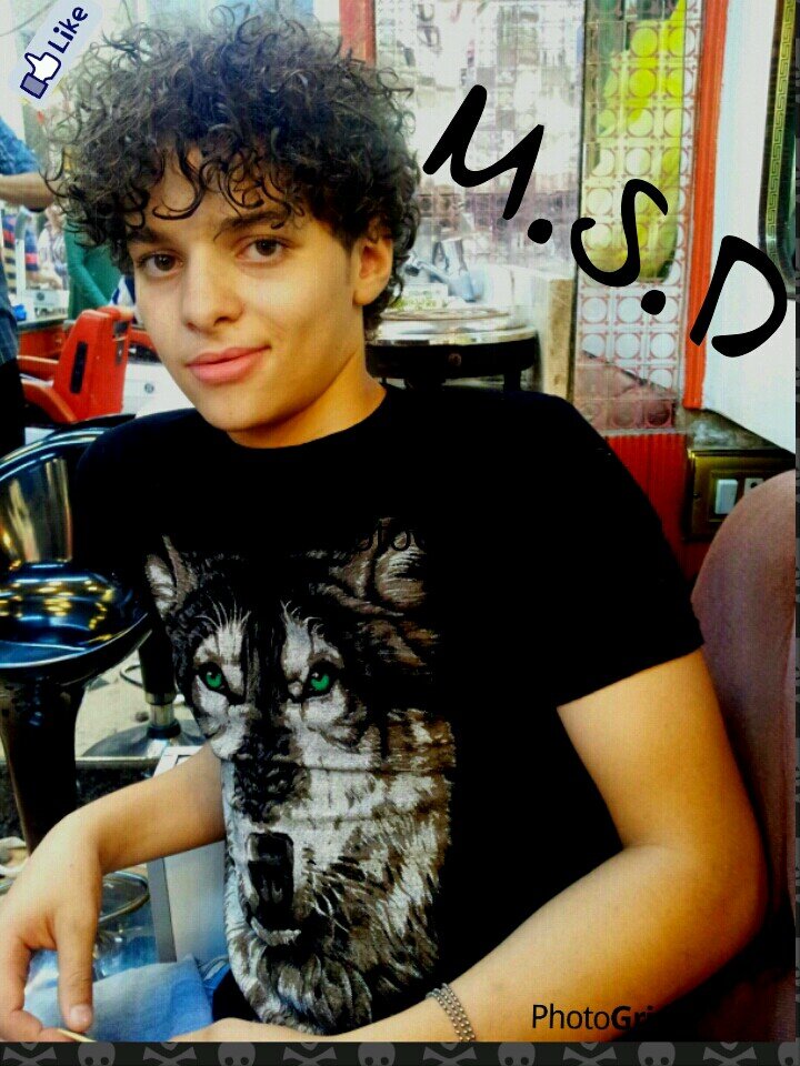 M.s.D..0536644508