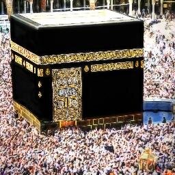 almosaferon1's profile picture. اللهم فرج كرب المسلمين