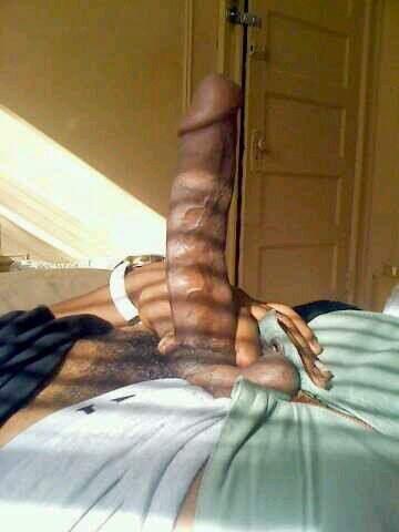 Daily updated with 100 new amateur XXX big dicks. big brown dick pic The latest Tweets from Big Dick (@bigdickniggas_).