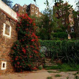 WaleedaseeriW's profile picture. 