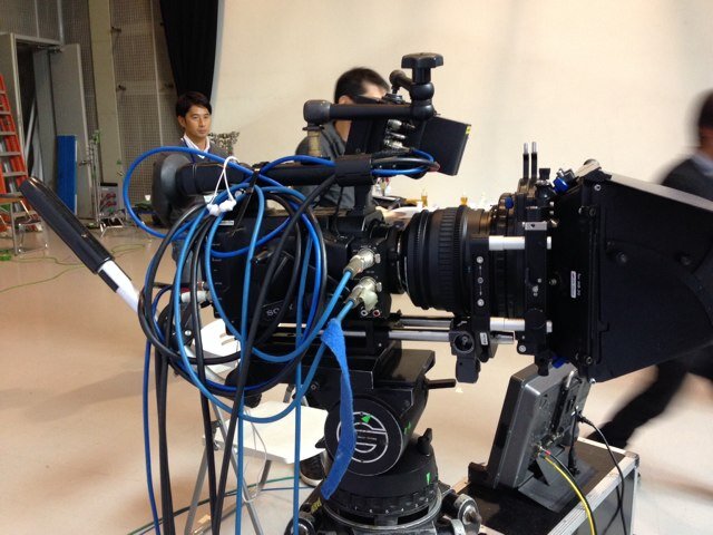 hasseblood's profile picture. 