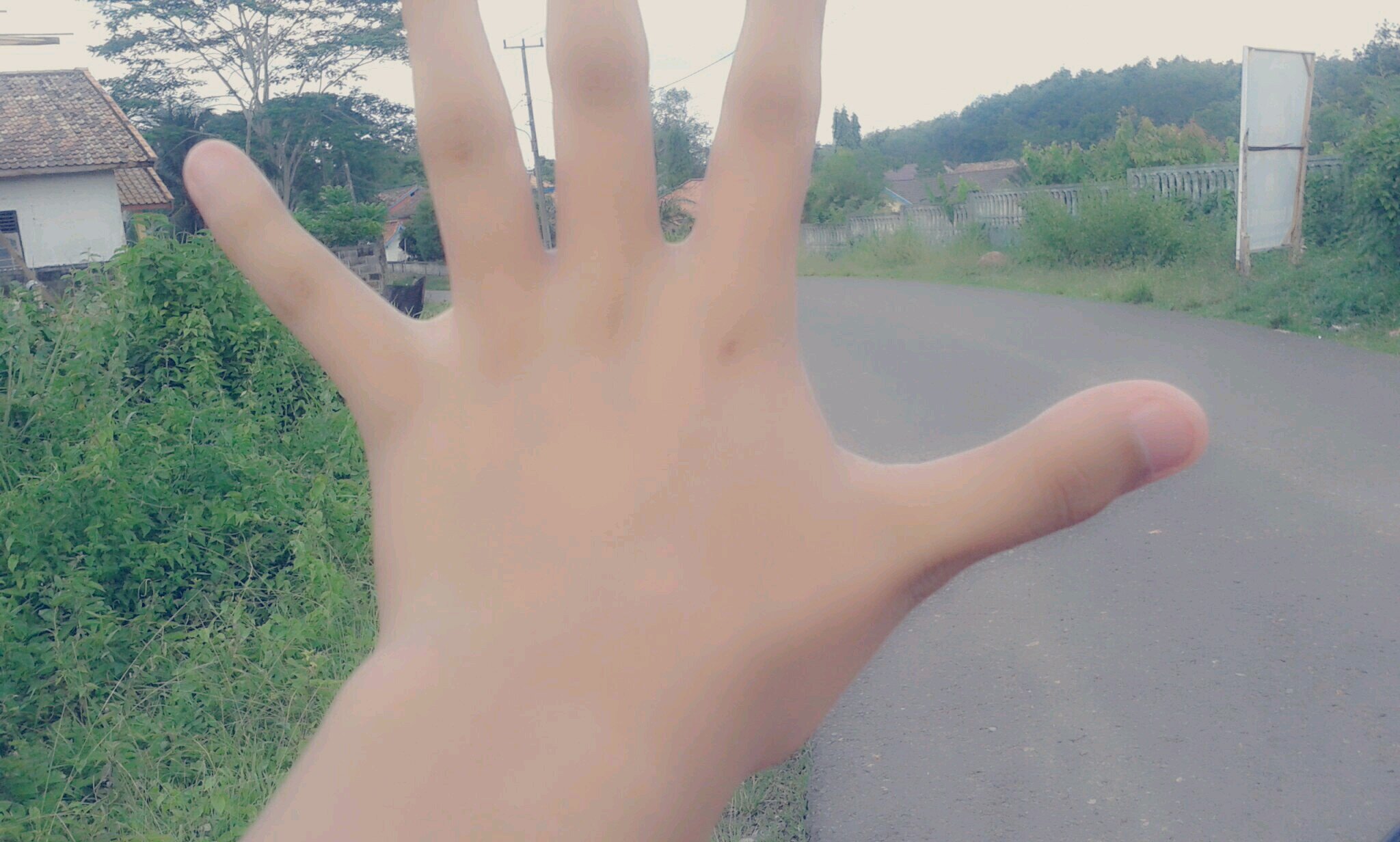 FOLLOW ME