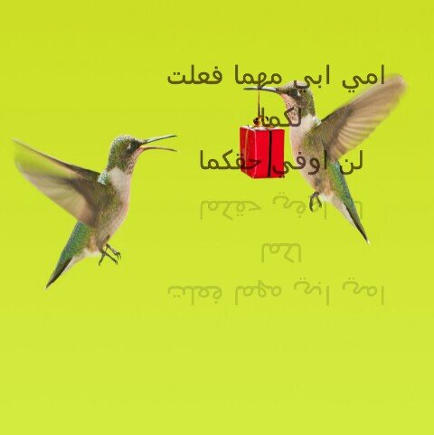 ‏‏‏هذا الحساب صدقة جارية لهم هم على قيد الحياة ..حفظهم الله لي محبتكم الداعية الى الله@mohebtalfrdos
