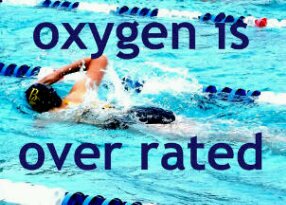 I do swimming,lifesaving,scouts αnd I play saxophone