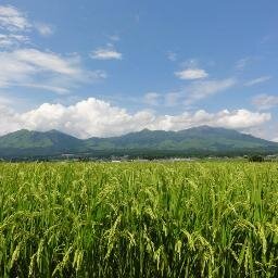 雑多な雑感. アイコンは阿蘇白川. Japan/Israel/US. ATW. BTSH? https://t.co/DaZF2nxixa