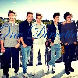 french directioner and mixer