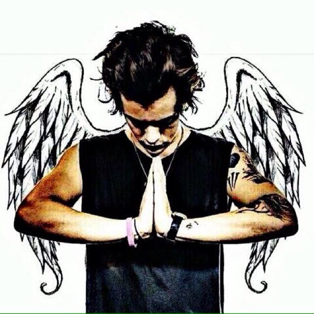 dont give up on getting a follow from him i love you @skaterstyles