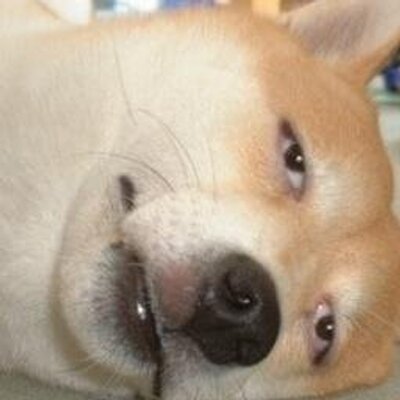 思わず笑ってしまう画像集 Funny Pic1 Twitter 思わず笑ってしまう画像集 Funny Pic1 Twitter