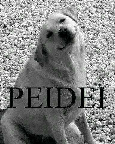 Belezinha ?