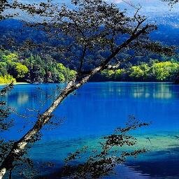 Hlo Hnlnol Twitter