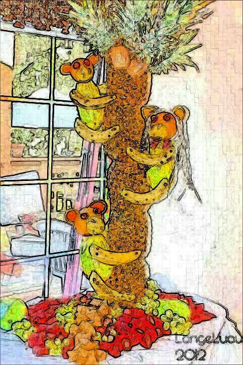 NooBista__'s profile picture. 