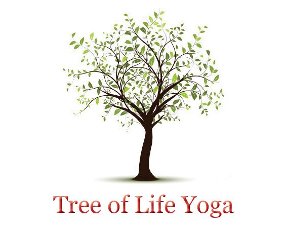 yoga tree of life yogatreeoflife twitter