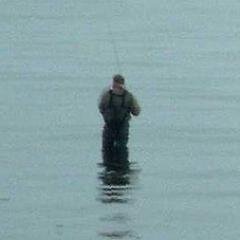 Trout, trout, pretty little trout.  Jump right in and splash about.