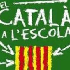 Mestre de l'Aula d'Acollida a l'institut Premià de Mar. Expresident de la Secció Local d'ERC a Teià i ara militant a la secció local de Nou Barris.