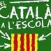 Andreu Porta C1Ota (@andreuportac) Twitter profile photo Andreu Porta C1Ota (@andreuportac) Twitter profile photo
