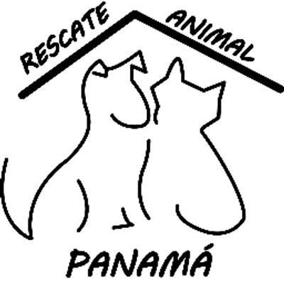Rescate Animal Pty Rescatanimalpty Twitter