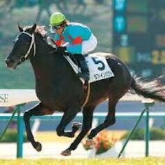 競馬、シルクホースクラブ