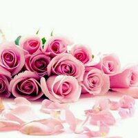 ورد الهدى (@no0ola_11) Twitter profile photo