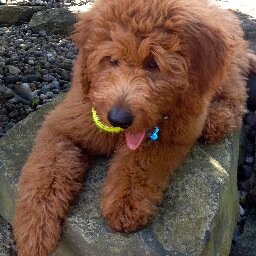 bms1208's profile picture. 