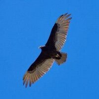QuietSkies (@kgibbsboulder) Twitter profile photo