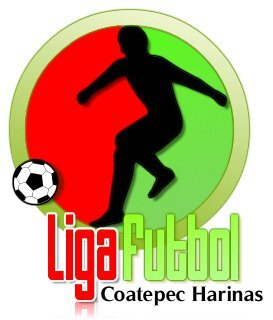 Somos una Asociacion Civil que por medio de la promoción del deporte apoyamos diferentes causas sociales. En Movimiento con Coatepec Harinas.