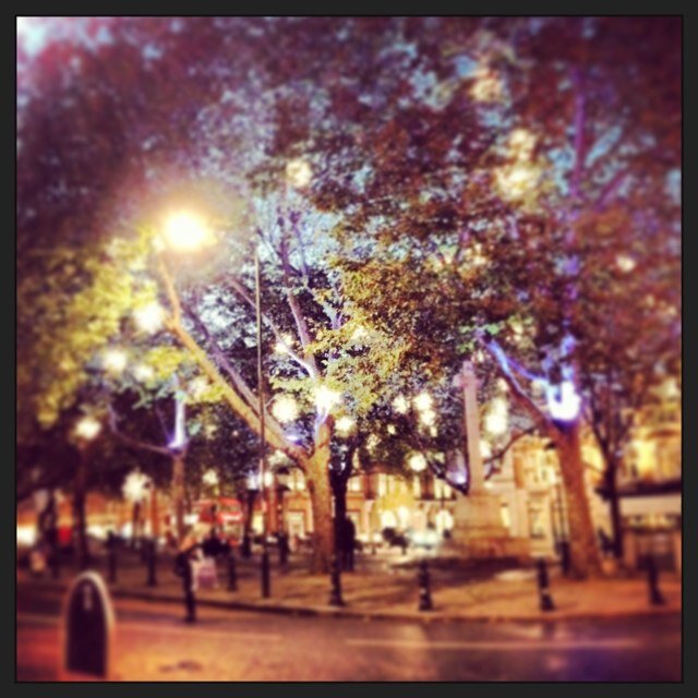 bea_reed's profile picture. London | Munich | Oslo