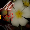 azoz (@0523456789) Twitter