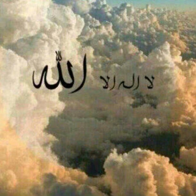 اللهم أغفر لأبي وأمي وأخي شاهر واجعلهما في الفردوس الأعلى من الجنة