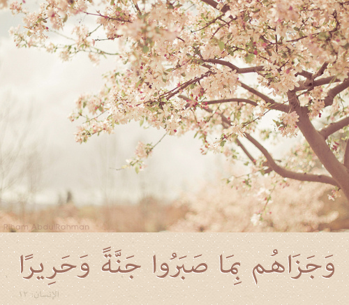 يَـا ربِـيّ اجَعَـــــل قَلبِـيّ يَذكَـرَك و لآ ينسَـــــآك .. ويَخَشَـــــآك گأنَــــــہ يَـــــرَآك .