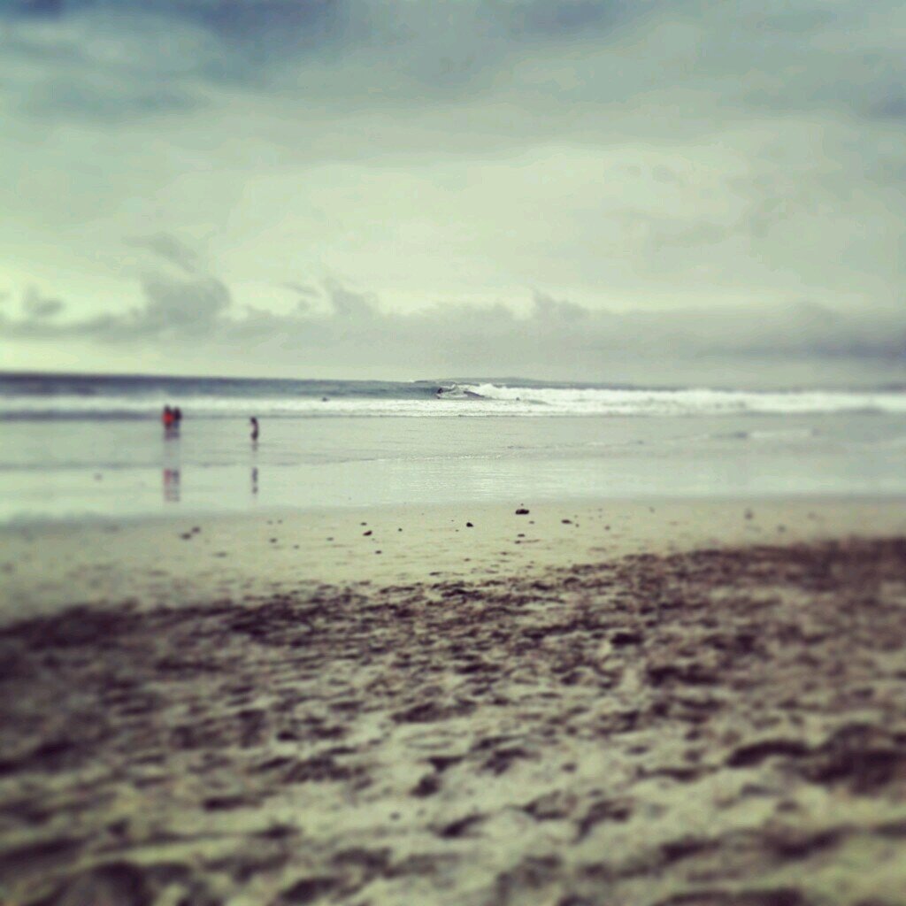 gaviotasonline's profile picture. 