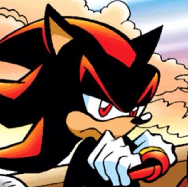 I'm shadow, shadow the hedghog go The ultimate lifeform I will protect @shadey_the no matter what