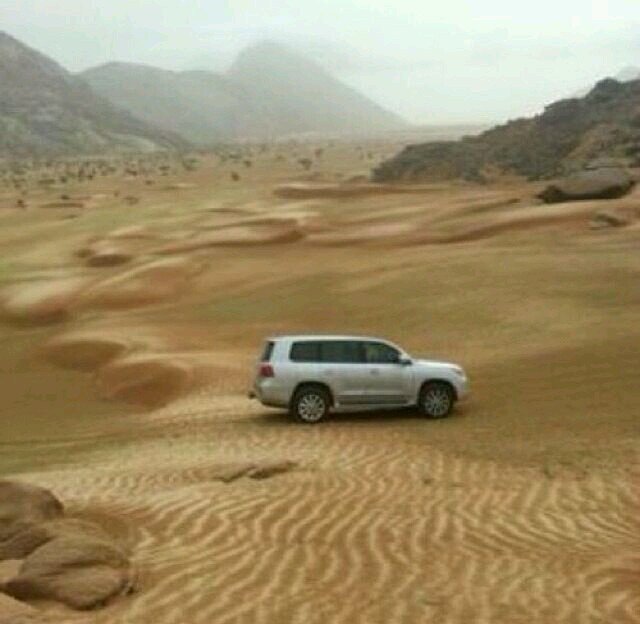 علمتني الصداقة أنها اجمل علاقة.. وعلمني الحب. الأ اكره💐
