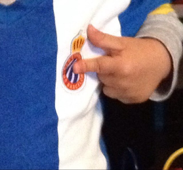 Mi abuelo no era perico, mi padre no era perico y mi hijo, probablemente, no lo será. #RCDE