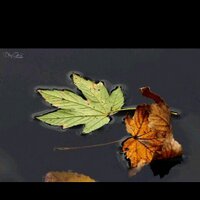 فاطمه العتيبي (@fat02mas2011) 's Twitter Profile