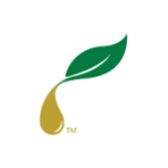 Young Living Independent Distributor