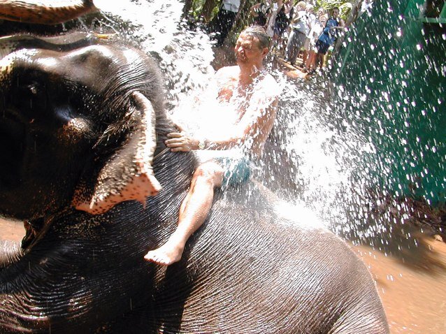 having a elephant shower