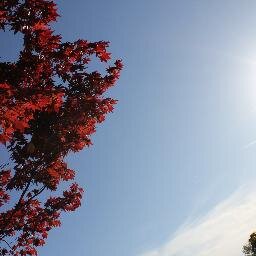 NathAlice0909's profile picture. 