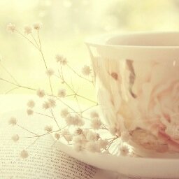 nmdplmfiction's profile picture. 