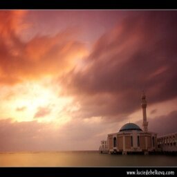 A7mapd_a834's profile picture. لا ولم ولن نقبل بغير تحكيم الشريعة في الشام باءذن اله