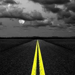 T_N_R_I's profile picture. 