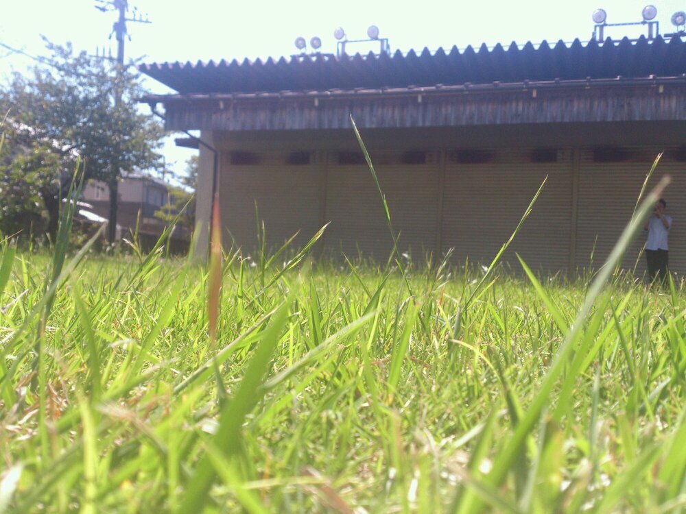 弓道 Ssの名言bot Shuuchanf331 Twitter
