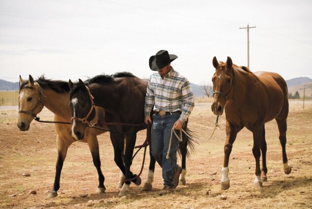 good ole boy and pespiring musical geneos