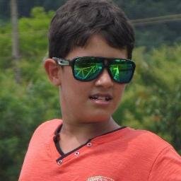 No peito, não tenho mais só coração, eu tenho um escudo de uma nação, Galo!